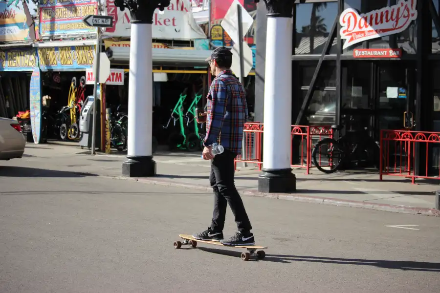 venice beach skate