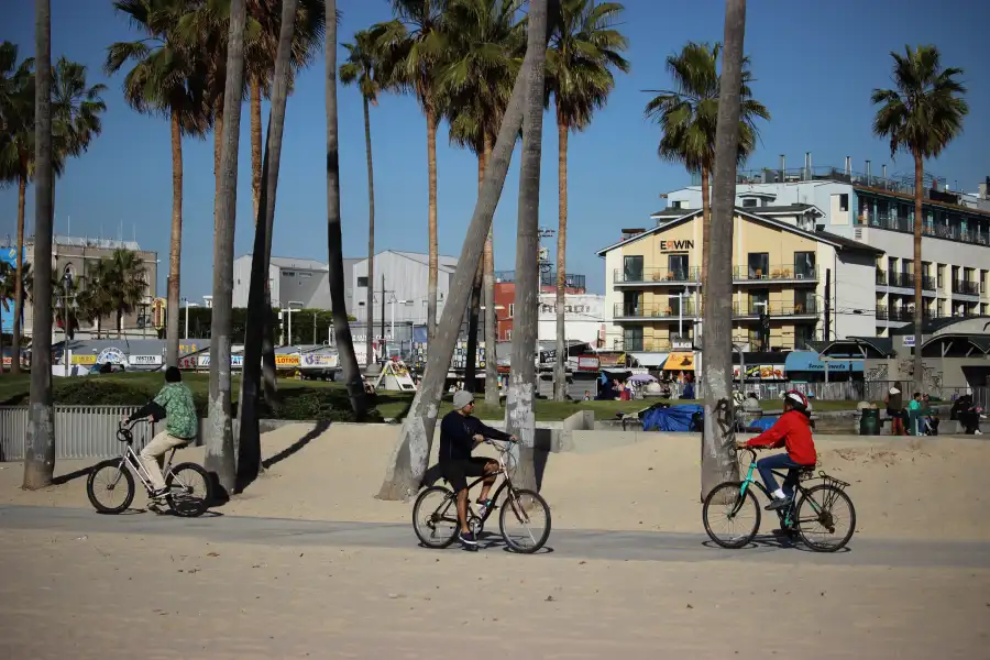 venice beach velo